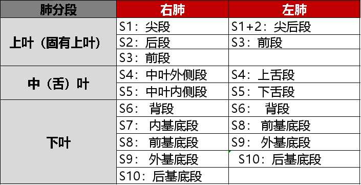 67初学3部曲支气管树胸部ct支气管镜技术