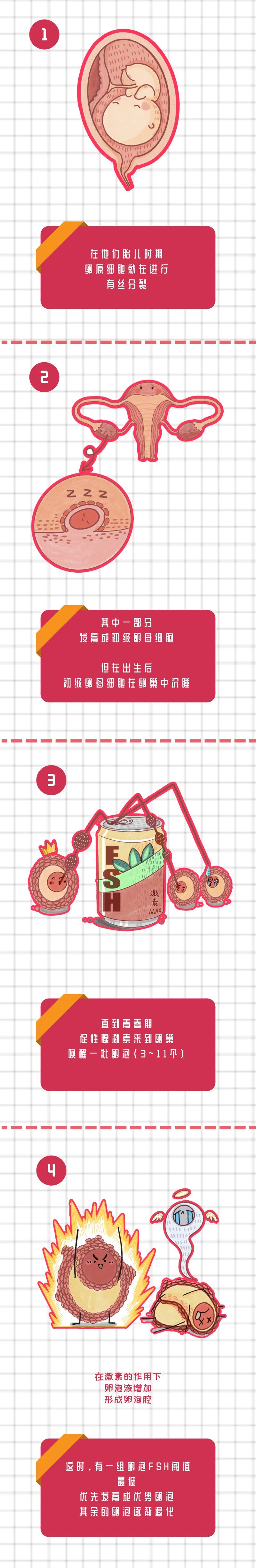 卵子的使命是成为受精卵 但女性不是为了生育而生存 医学界 助力医生临床决策和职业成长