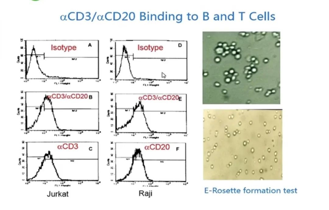 这些针对血液肿瘤的car T治疗 你一定得知道 医学界 助力医生临床决策和职业成长