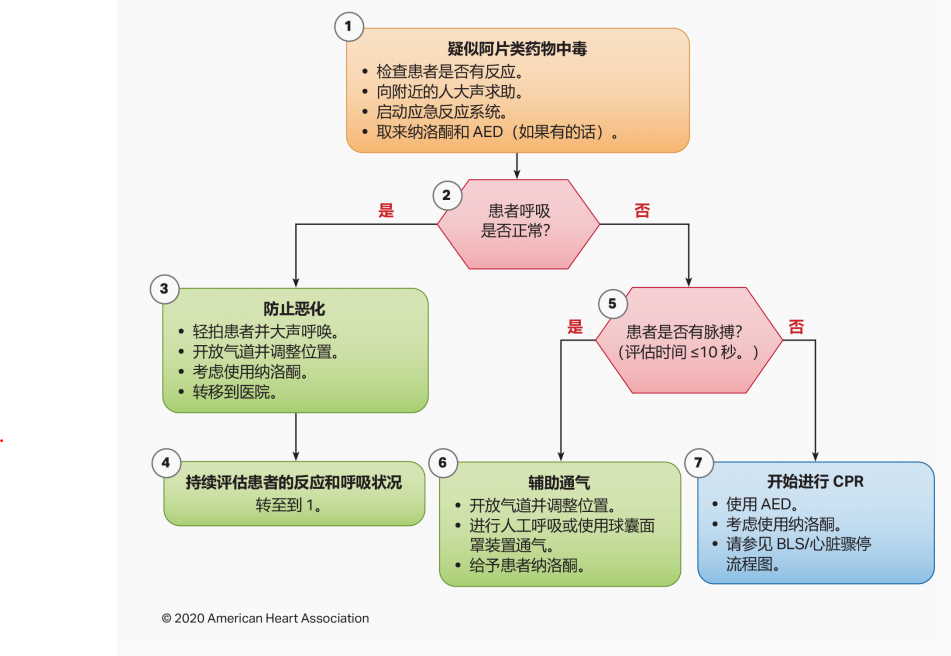 心肺复苏流程图英文版图片