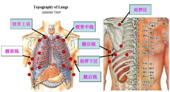 医生必须掌握的肺部听诊技巧 值得收藏 医学界 助力医生临床决策和职业成长