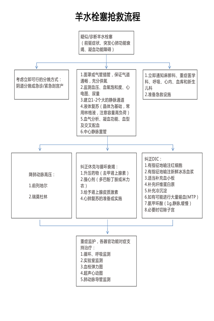 羊水栓塞应急预案图片