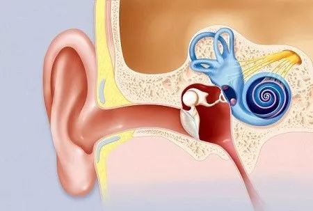 耳石症治疗方法有哪些 总反复发作 谈谈手术治疗 医学界 助力医生临床决策和职业成长