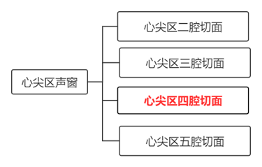 2.心尖区声窗常用切面胸骨旁左室短轴切面心尖水平二维超声1.2.