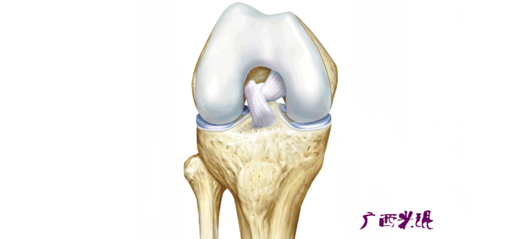米琨 膝关节软骨损伤的外科治疗 医学界 助力医生临床决策和职业成长