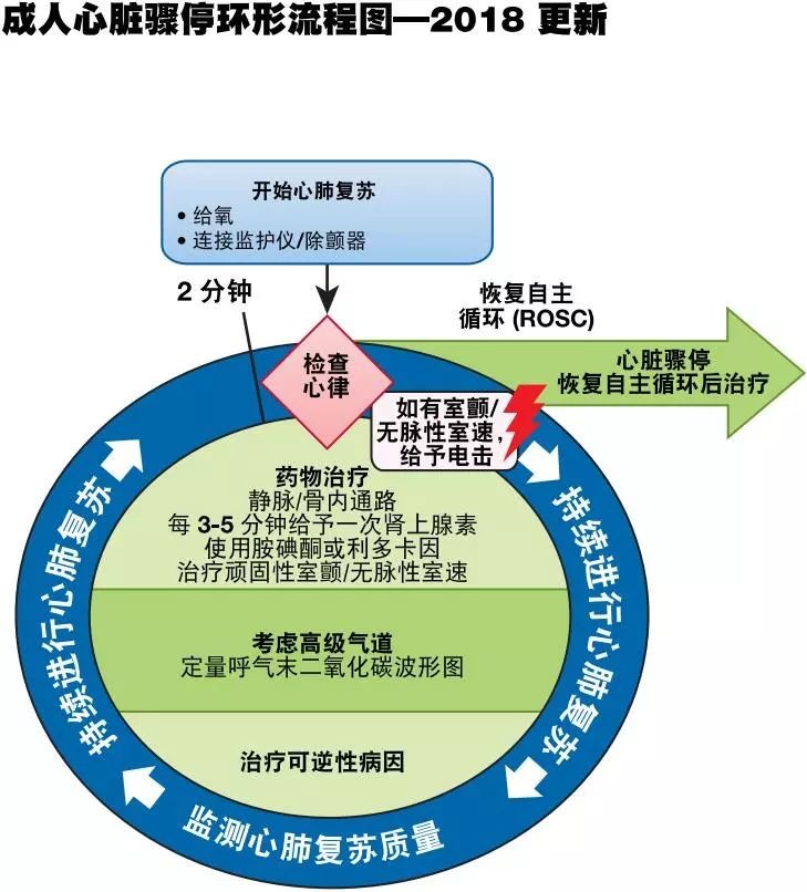 aha心肺复苏指南更新 医学界 助力医生临床决策和职业成长