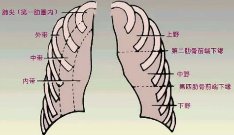 影像诊断中「肺纹理增多」该如何理解?
