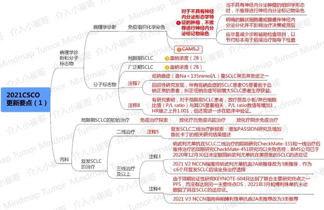 思维导图 | csco 2021小细胞肺癌诊疗指南_医学界-助力医生临床决策和