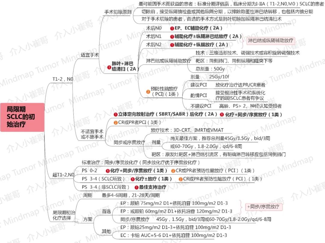 思维导图 | csco 2021小细胞肺癌诊疗指南_医学界-助力医生临床决策和