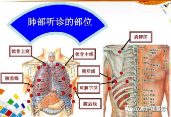 扣背前 评估患者呼吸形态