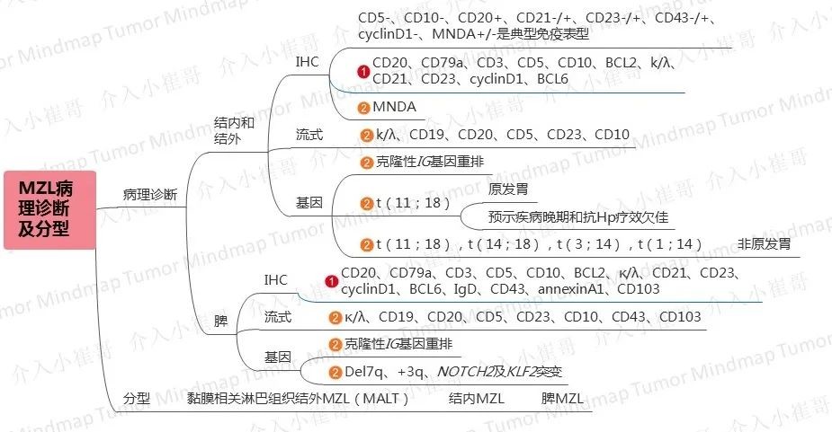 思维导图csco淋巴瘤诊疗指南三