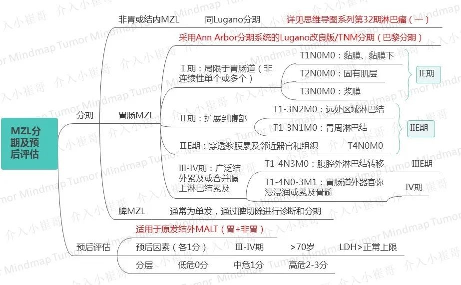 思维导图csco淋巴瘤诊疗指南三