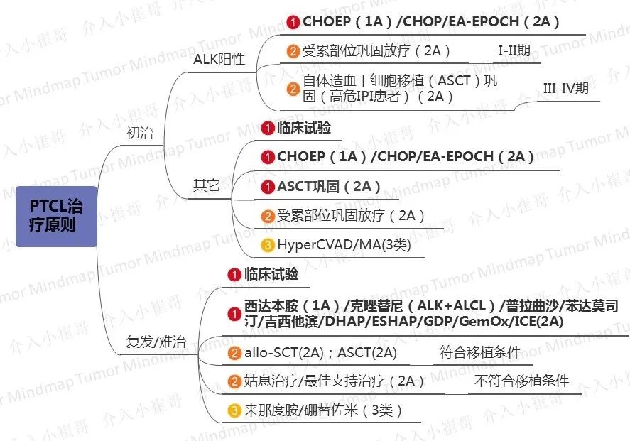 思维导图csco淋巴瘤诊疗指南三