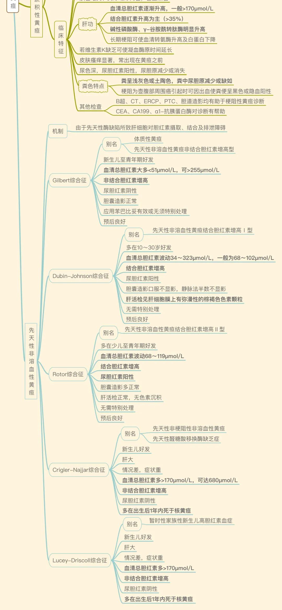 新生儿黄疸思维导图图片