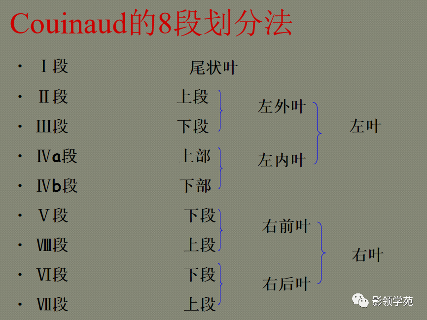 最全总结！肝脏的表面解剖及分叶分段，太赞了_医学界-助力医生临床决策和职业成长