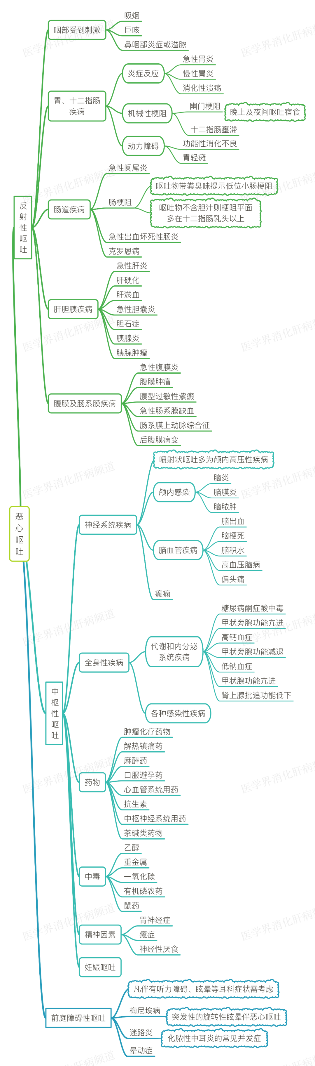 呕吐思维导图图片