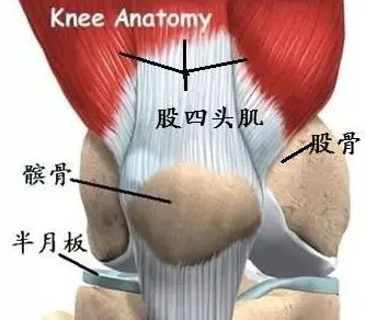 膝关节软骨已退化 不想手术你要怎么做 医学界 助力医生临床决策和职业成长