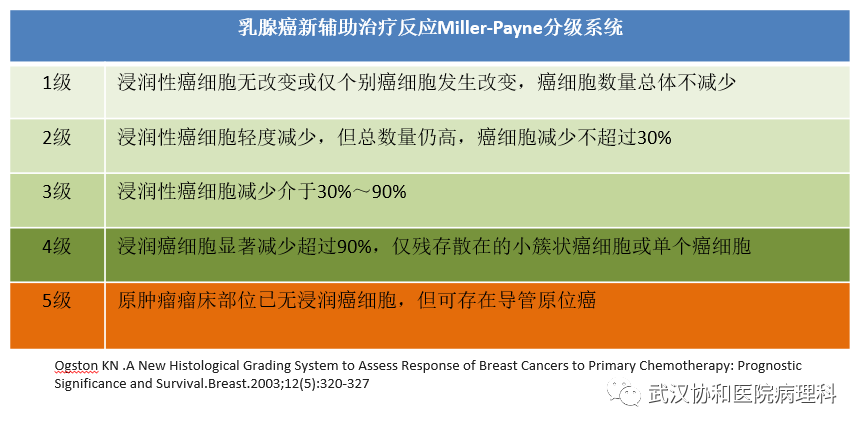 乳腺亚专科病理诊断规范小锦囊_医学界-助力医生临床决策和职业成长