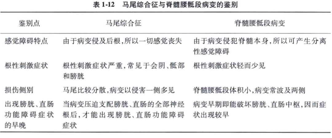 下部马尾综合征与脊髓圆锥的病变症状亦极相似,但两者也各有其特点,现