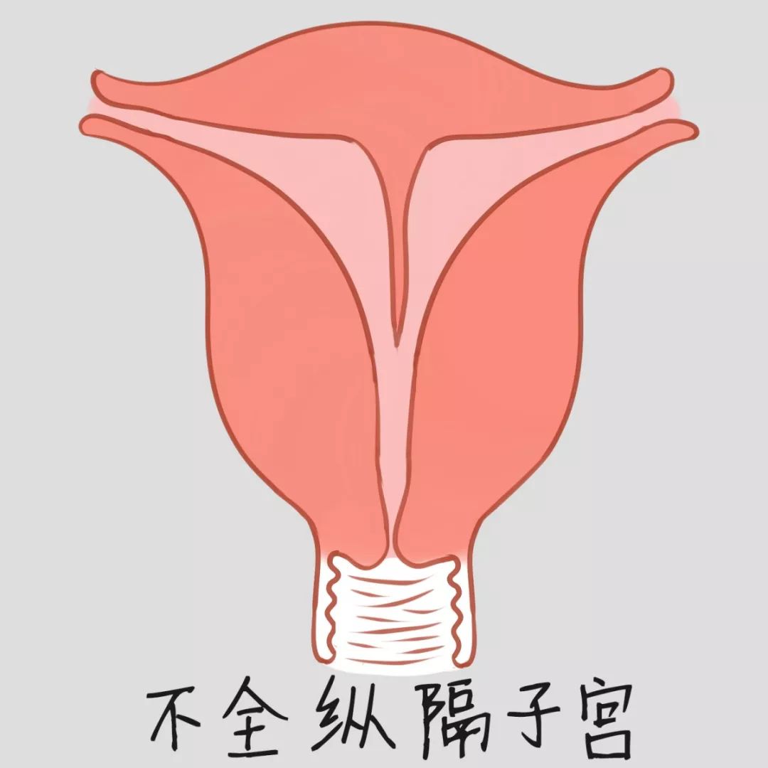 图解子宫内膜多厚算正常呢？