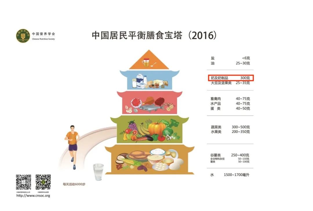 图3 中国居民平衡膳食宝塔推荐每天300克奶及奶制品中国居民平衡膳食