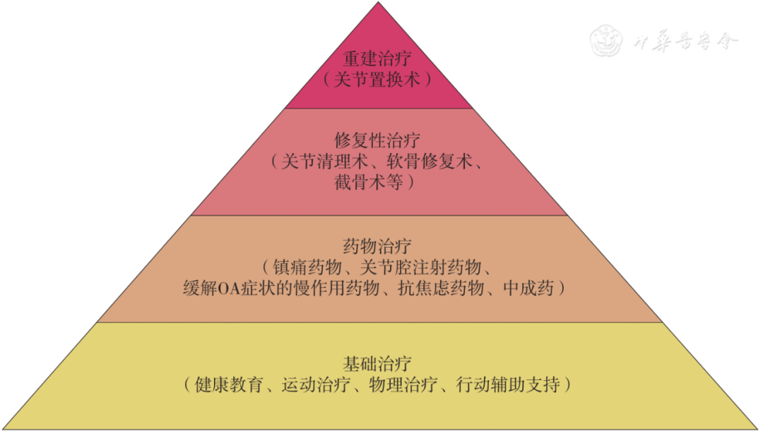 指南中國骨關節炎診療指南2021年版