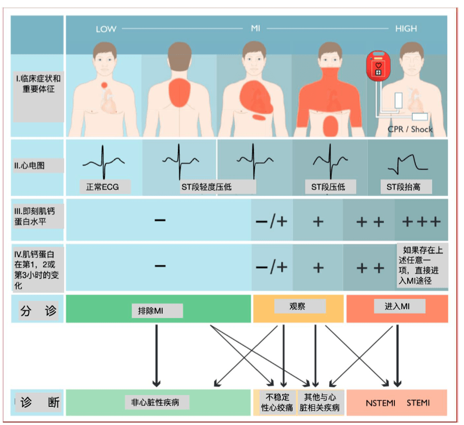 白血病胸痛位置图片