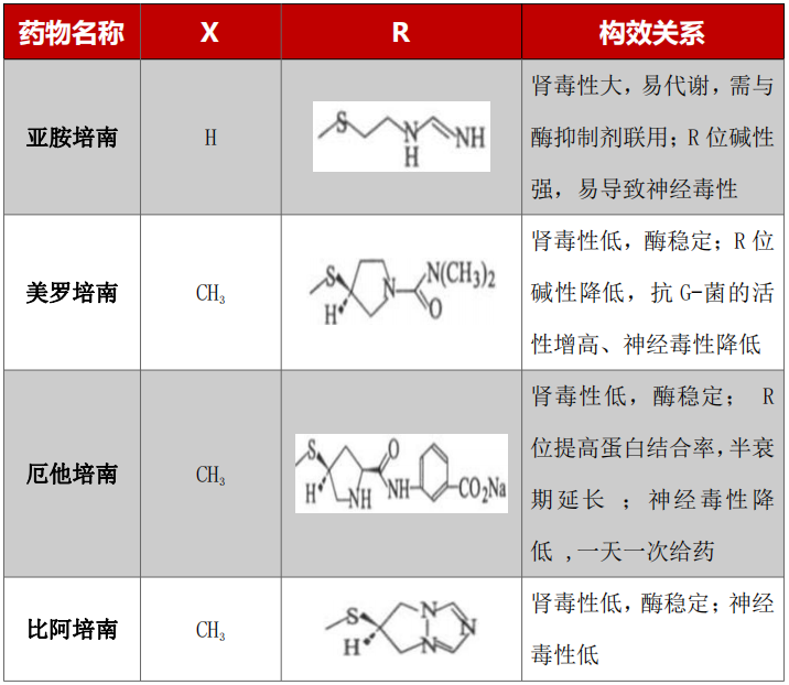 美罗培南抗菌素谱图片