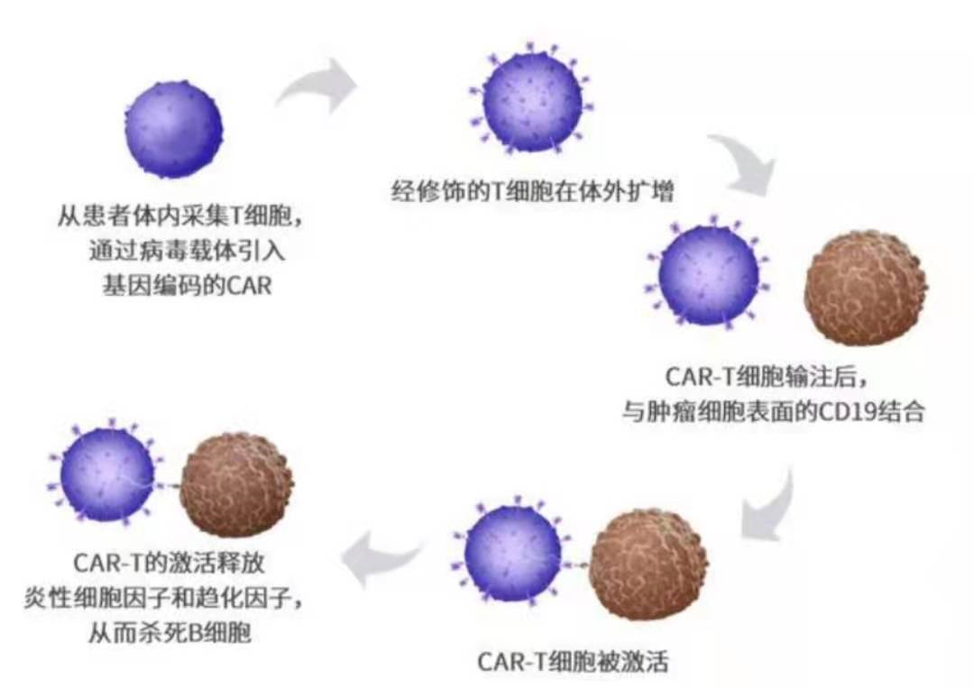 天價抗癌藥120萬一針癌細胞全部消失標題黨們可省省