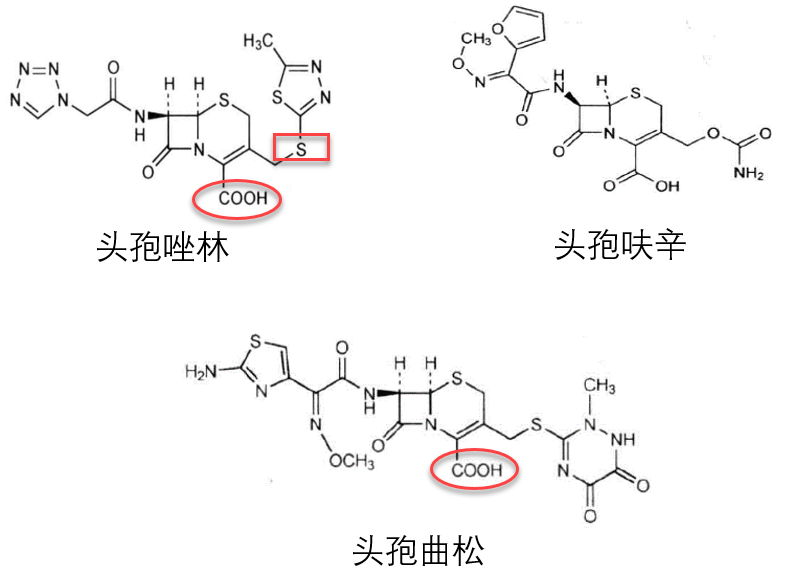 二,化学结构属第一代头孢菌素,若与呋塞米等强利尿药,氨基糖苷抗生素
