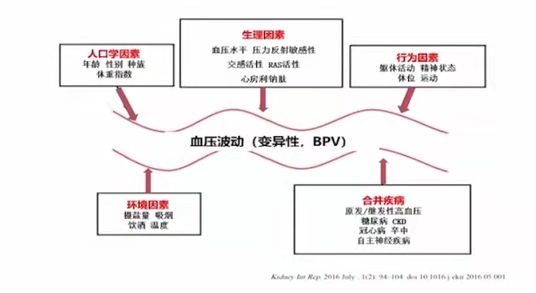 从管理高血压——平稳降压,持续达标这个角度来讲,关注血压变异是毋庸