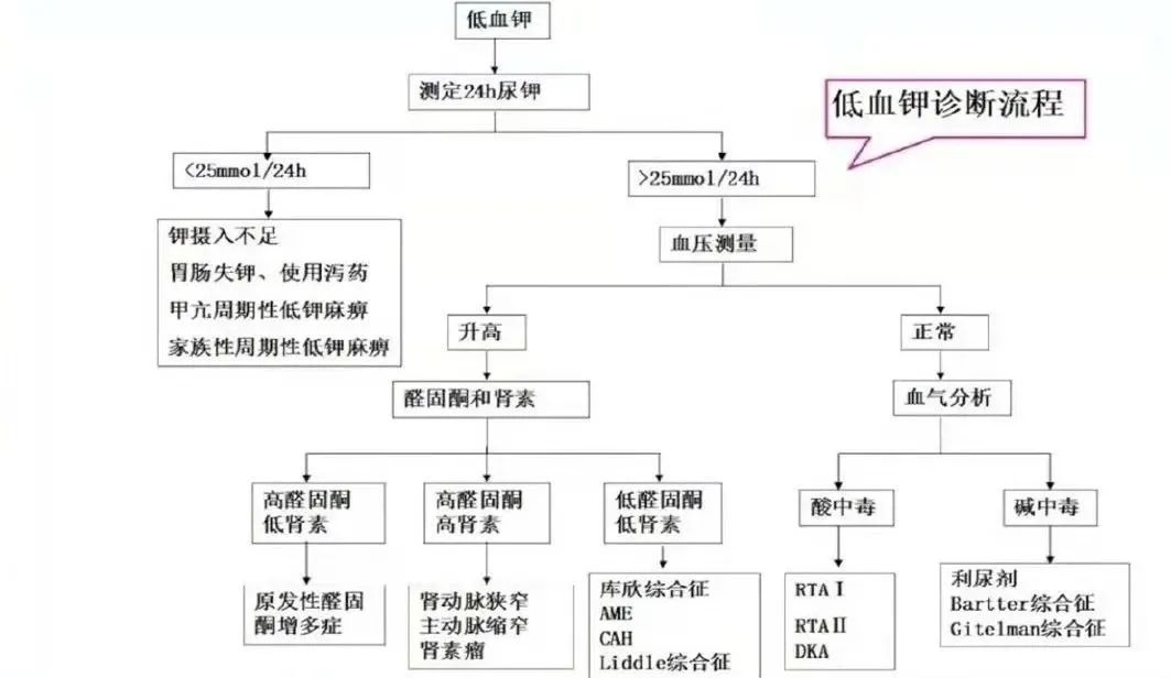 钾低是什么原因引起的图片