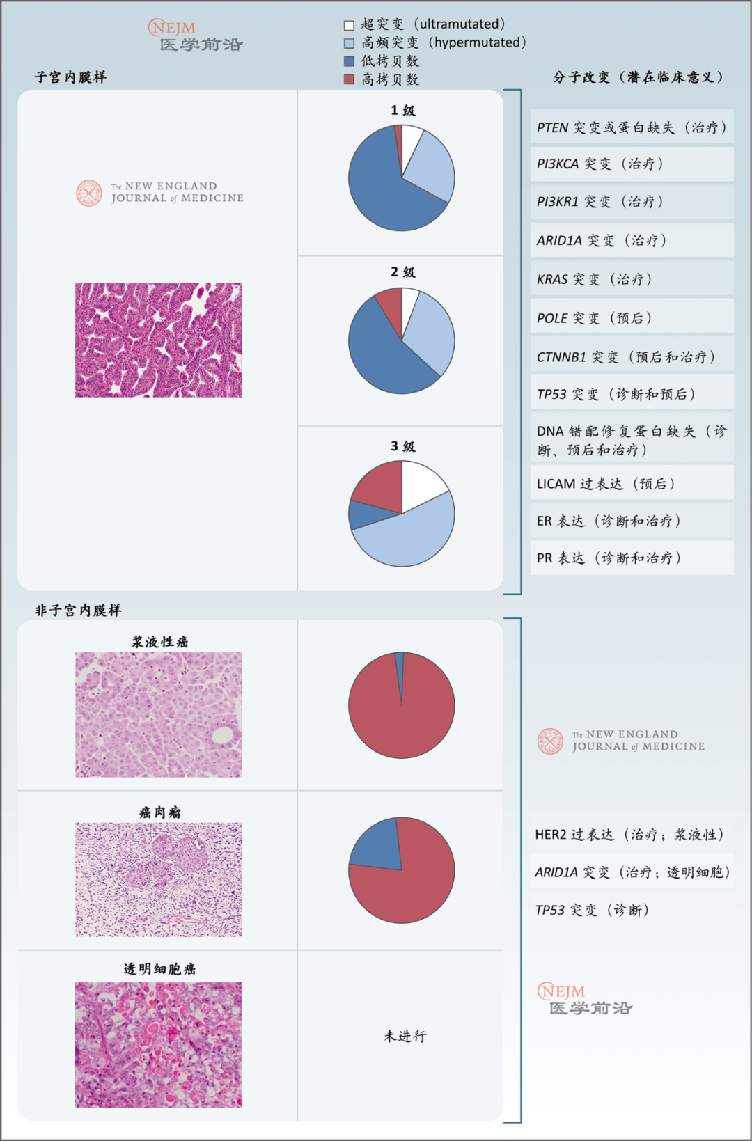 NCCN 乳腺癌临床实践指南（2021年中文第8版）_文库-报告厅