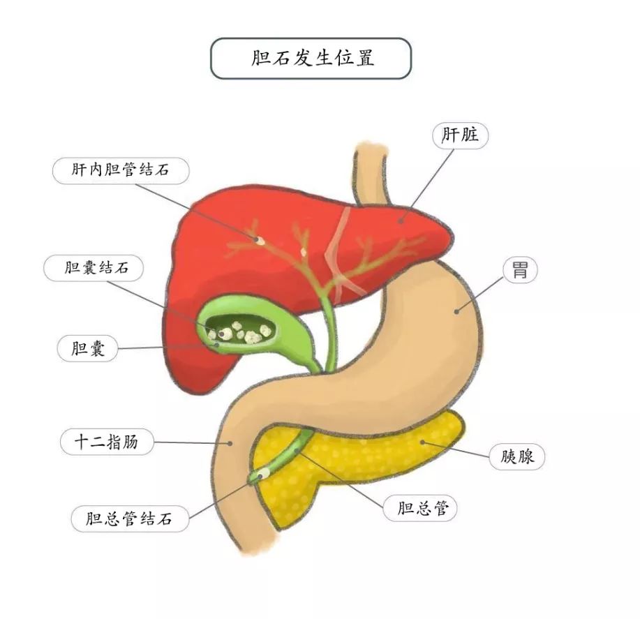 医学界-助力医生临床决策和职业成长