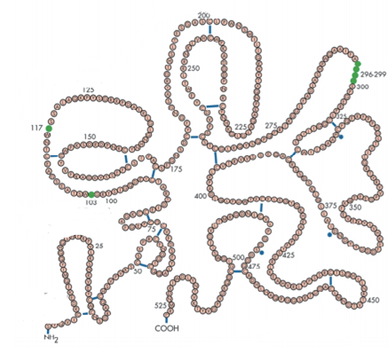 阿替普酶,尿激酶原,替奈普酶,谁是王者「溶药」?