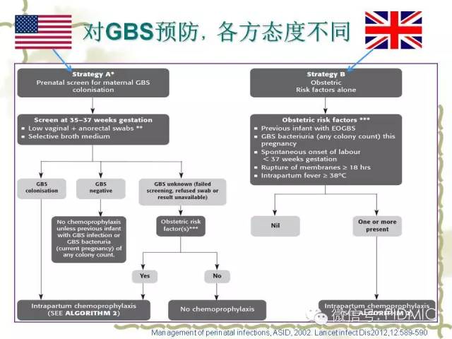 gbs：为何提倡产前筛查？