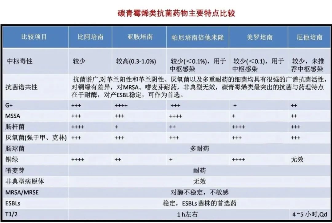 抗菌谱一览表图片