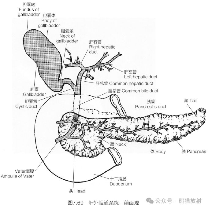 断解选读