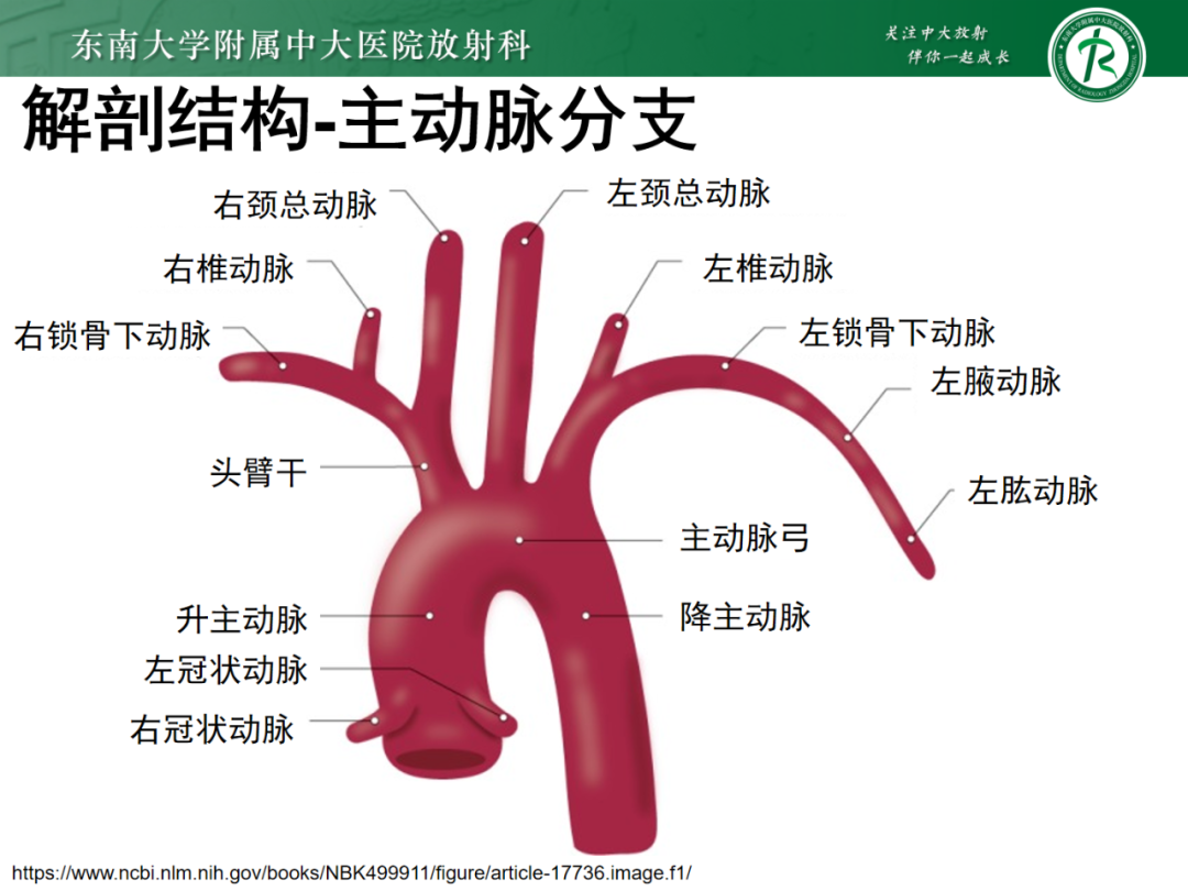 下肢动脉炎图片