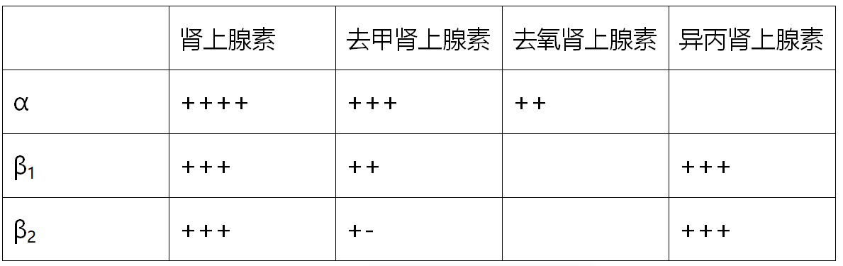 去甲,去氧,异丙肾上腺素分不清?一文搞定