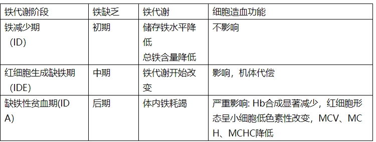 按體內鐵減少的發展過程分3個不同鐵代謝階段:二價金屬離子轉運體 1