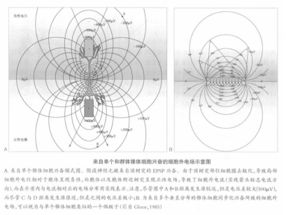 脑电图在癫痫中的应用 很全面 建议收藏 医学界 助力医生临床决策和职业成长 脑电图在癫痫中的应用 很全面 建议收藏 医学界 助力医生临床决策和职业成长