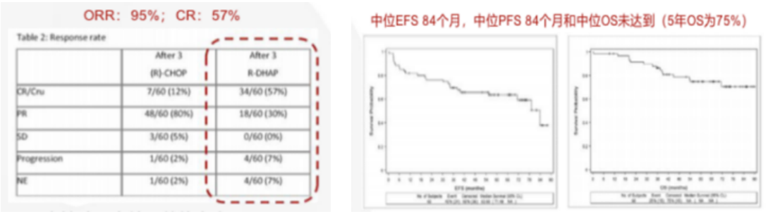 乾貨快收藏一文掌握套細胞淋巴瘤診治進展結尾還附典型病例哦