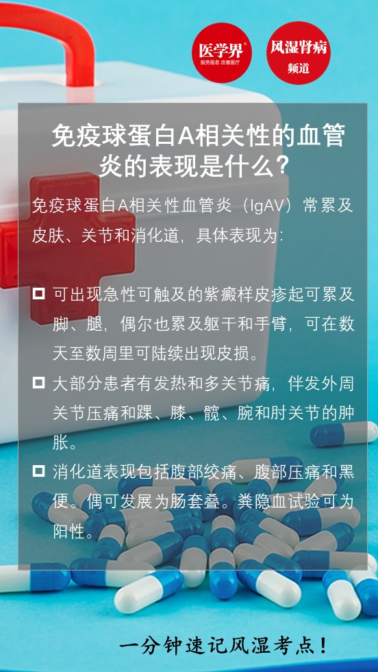 一分鐘速記免疫球蛋白a相關性的血管炎的表現是什麼