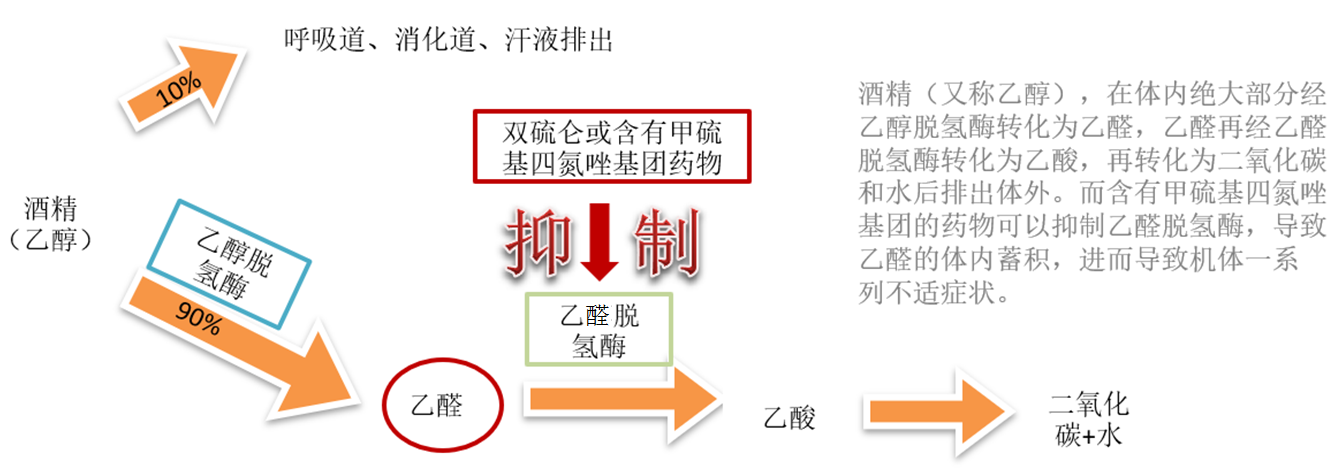 出现双硫仑反应用什么药物治疗3表轻松搞定