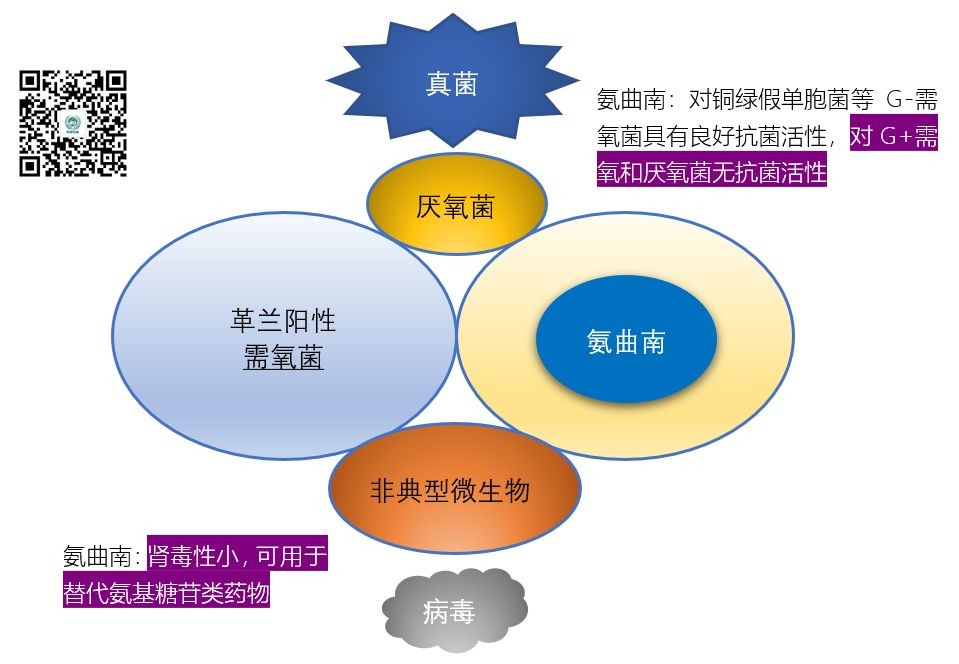 图说抗菌药物的抗菌谱,再也不会记不住了!