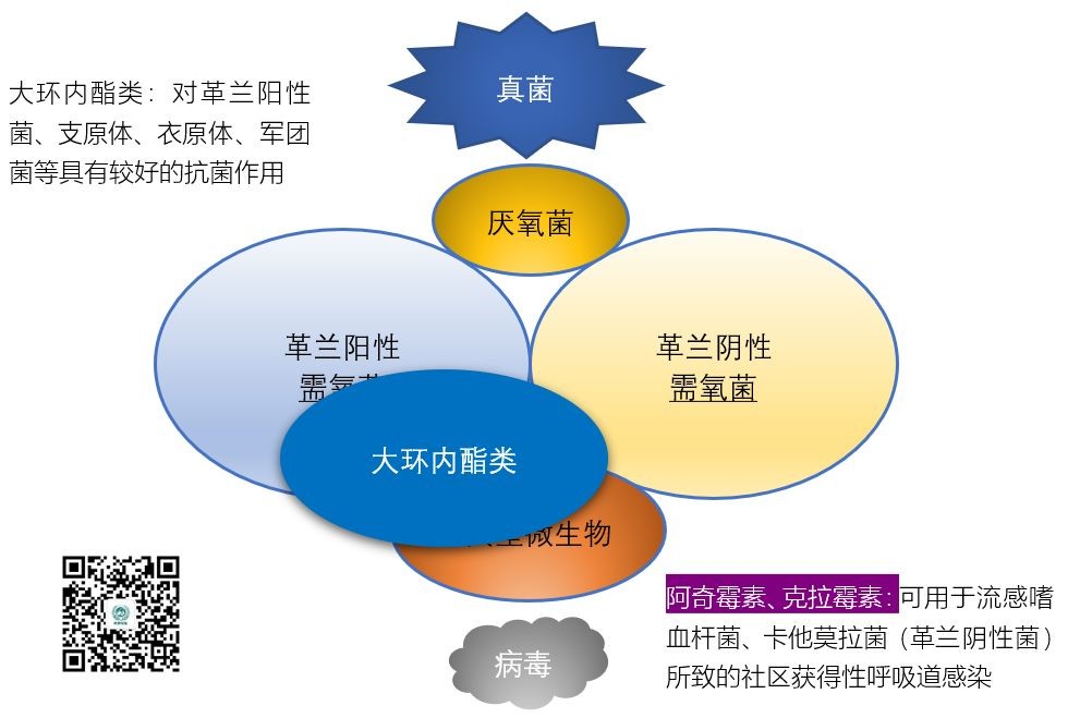 舒普深抗菌素谱图片