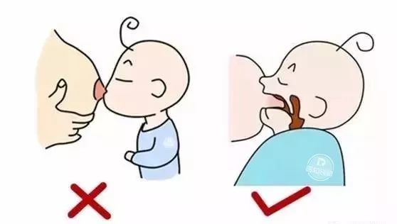 先用乳头碰触孩子的嘴唇,等孩子的嘴张大后把乳房放进去,以确保宝宝能