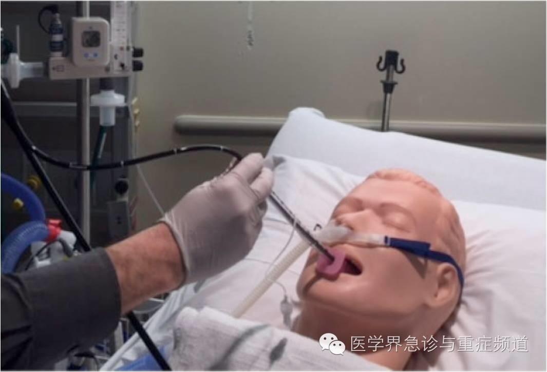 医学模拟人演示在hfnc支持下纤维支气管镜引导的经口气管内插管.