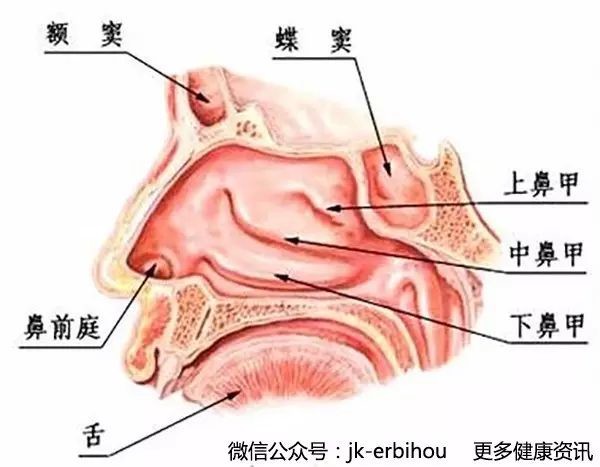 副鼻窦炎如何治疗和预防？